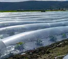 Aplicação de estabilizadores de polímero na agricultura