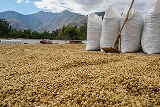 Processo de fabricação de antioxidantes de polímero