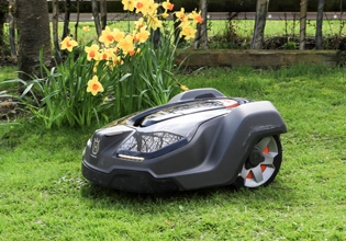 Fosfito Antioxidante