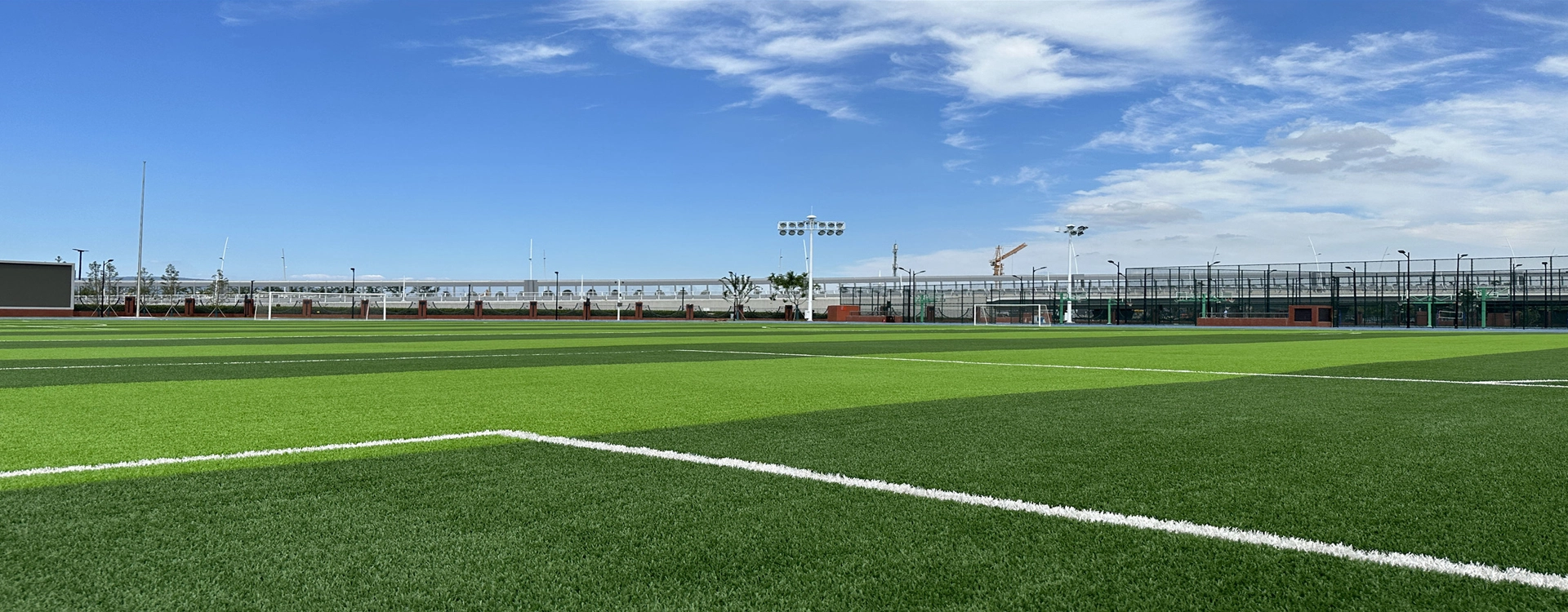 Estabilizador de luz de amina impedida